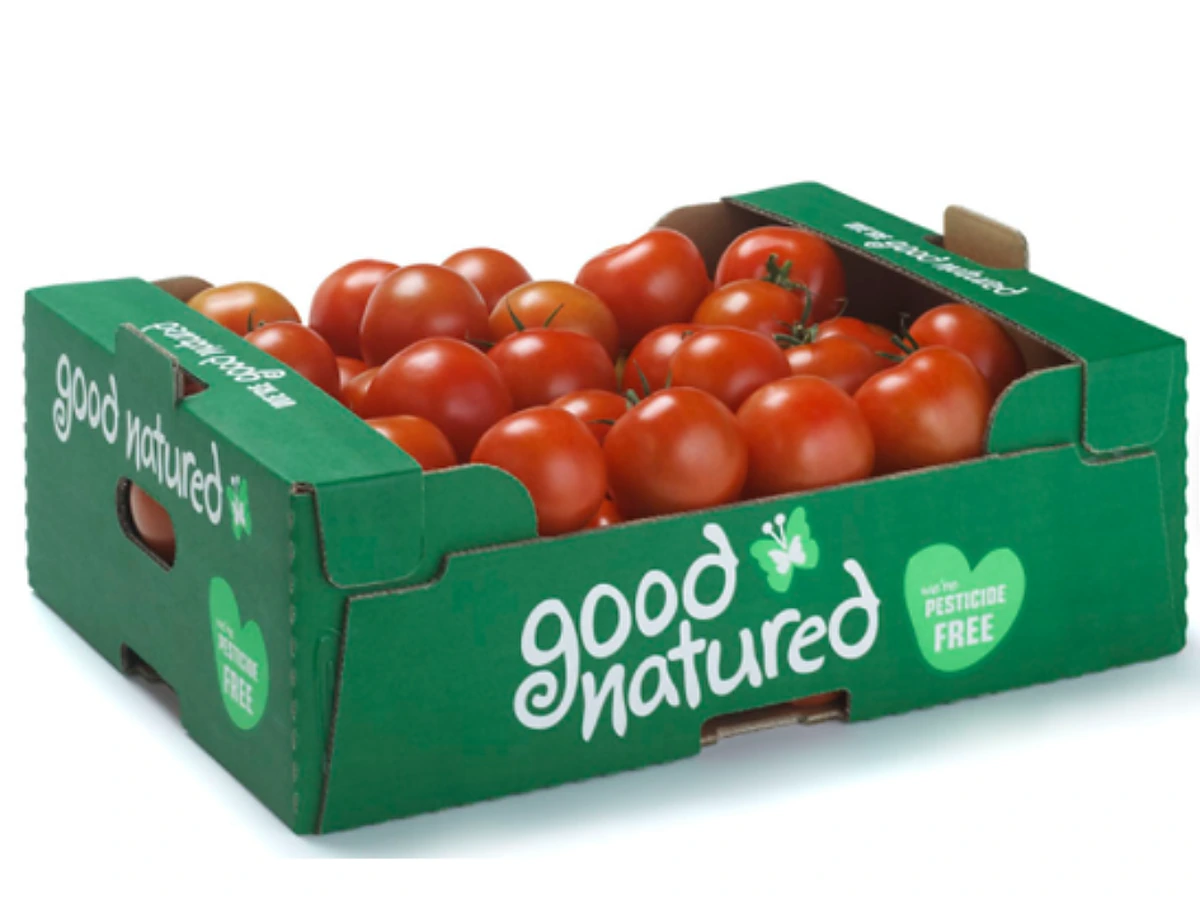 Open-Top Corrugated Produce Tray for Fruits and Vegetables