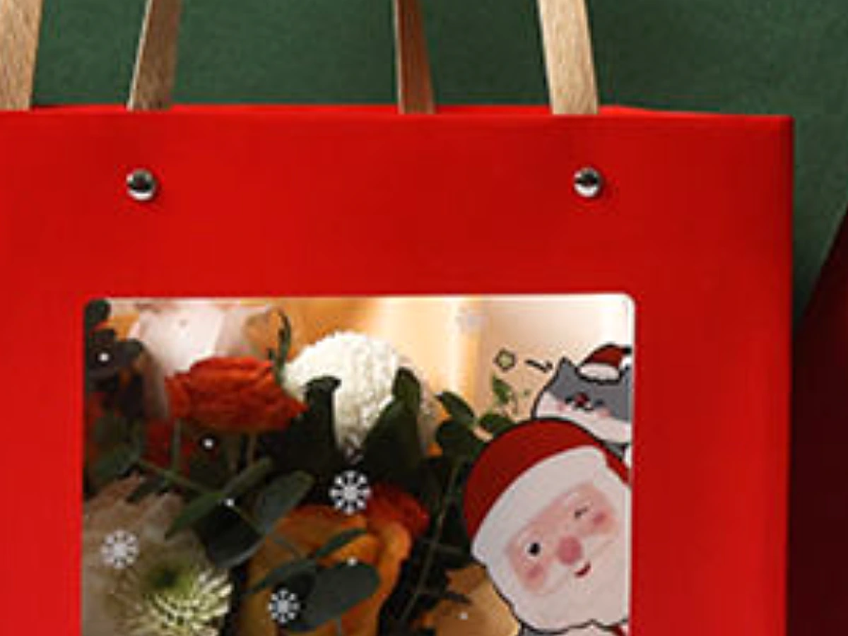 Clear Window Gift Bag with Rivet-Attached Ribbon Handles